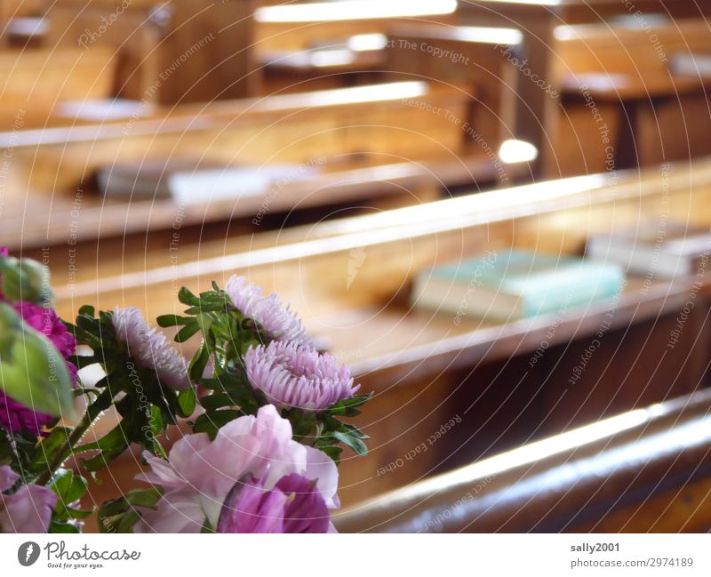 In the church before the wedding... Church Church pew flowers Easter flower decoration Pink purple Violet Song book prayer book Wedding wedding jewellery