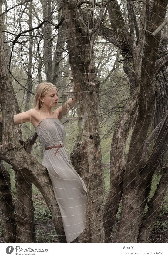 grey in grey Young woman Youth (Young adults) 1 Human being 18 - 30 years Adults Tree Bushes Park Forest Dress Blonde Beautiful Arrogant Cage Branch Tree trunk