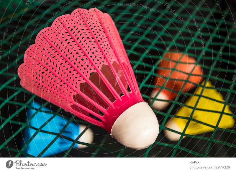 Badminton birdie on a racket. Lifestyle Style Design Healthy Athletic Fitness Wellness Leisure and hobbies Playing Sports Education Kindergarten School Economy