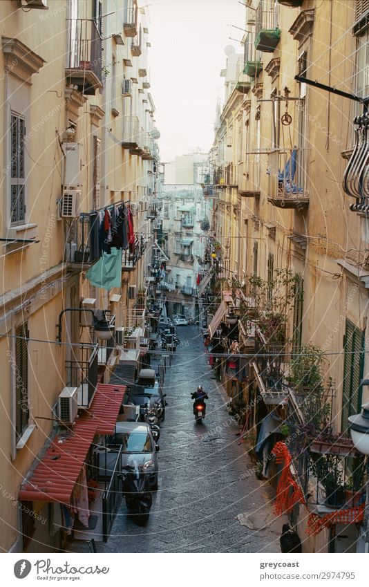 Narrow street in Naples with old houses, Italy. Motorbike driving along the alleyway. Linen hanging on the balconies House (Residential Structure) Man Adults