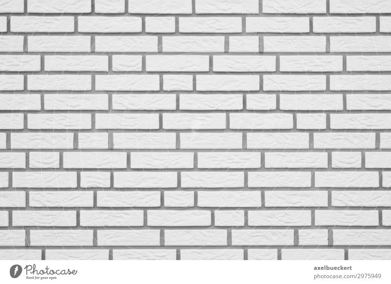 Clinker Wall Background white Wall (barrier) Wall (building) Facade White Background picture Horizontal Architecture Part of a building Brick Copy Space