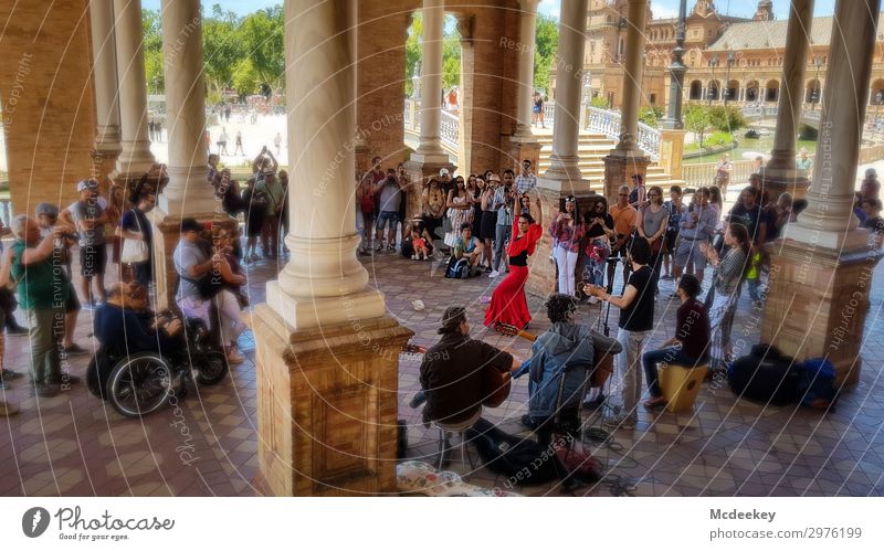 Flamenco - Plaza de España (Seville) Human being Woman Adults Crowd of people Andalucia Spain Europe Town Downtown Old town Populated Park Places