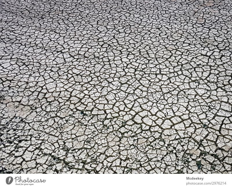 Drought I Environment Nature Landscape Plant Earth Sand Summer Beautiful weather Warmth Park Dirty Infinity Hot Natural Dry Brown Gray Black Field Arable land