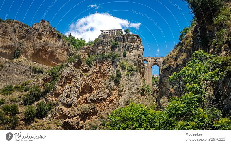 Ronda II Environment Nature Landscape Plant Sky Clouds Sun Sunlight Summer Beautiful weather Warmth Tree Bushes Foliage plant Wild plant Exotic Rock Andalucia