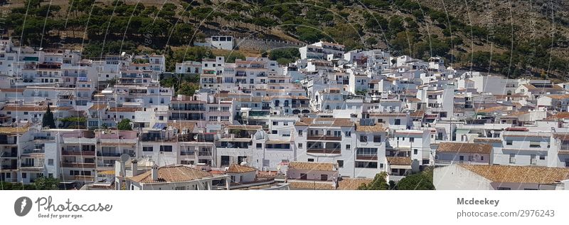 mijas Nature Landscape Plant Mountain Mijas Andalucia Spain Europe Village Small Town Old town Populated House (Residential Structure) Manmade structures