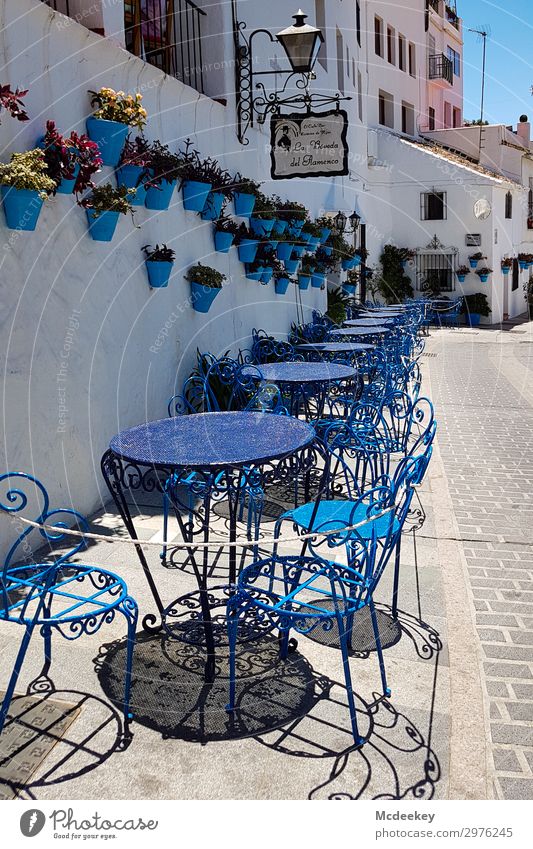 mijas Summer Beautiful weather Plant Flower Mijas Andalucia Spain Europe Village Small Town Downtown Old town Populated House (Residential Structure) Places