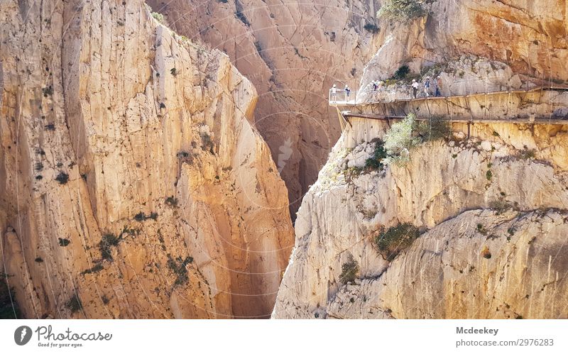 Caminito del Rey Climbing Mountaineering Human being Group Environment Nature Landscape Summer Beautiful weather Warmth Drought Rock Canyon Andalucia Spain