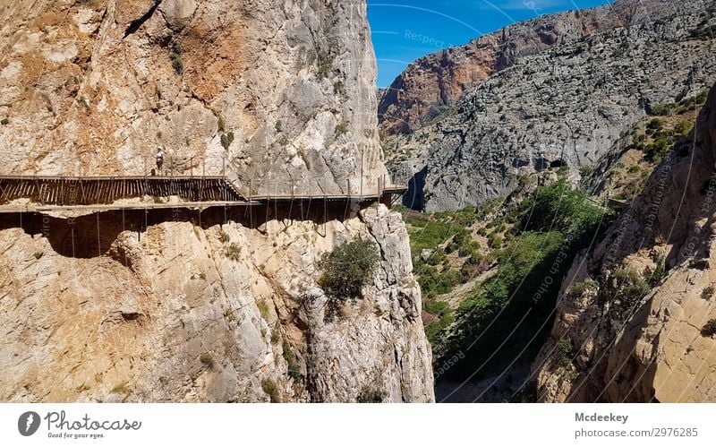 Caminito del Rey Environment Nature Landscape Sky Cloudless sky Summer Beautiful weather Warmth Drought Plant Tree Bushes Rock Canyon Andalucia Spain Europe
