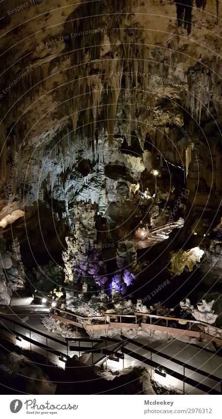 Cueva de Nerja - Skull Head Face Environment Nature Landscape Drops of water Summer Beautiful weather Rock Stalactite Stalactie cave Cave Andalucia Spain Europe