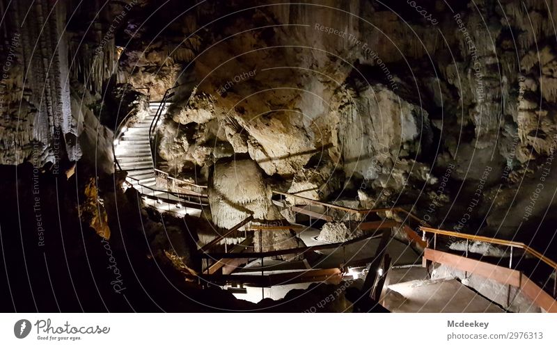 Cueva de Nerja Environment Nature Landscape Summer Beautiful weather Rock Cave hollow Andalucia Spain Europe Stairs Tourist Attraction Exceptional Fresh Large