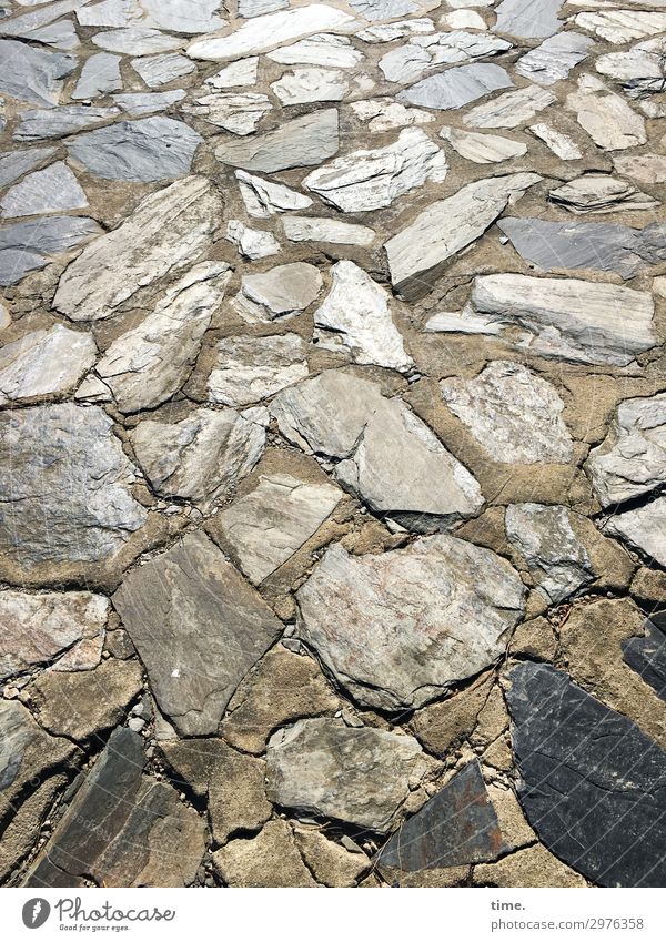 Stony is the way that lies before us ... Lanes & trails Paving tiles Stone Lie Elegant Many Together Life Unwavering Esthetic Relationship Design Uniqueness