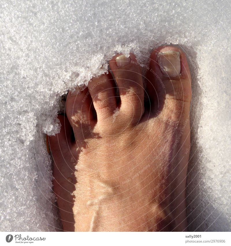 cool down... Human being Feet Toes Snow Stand Healthy Cold Naked Frost Cooling Freeze Relaxation Brave Unwavering Ice Colour photo Exterior shot Day