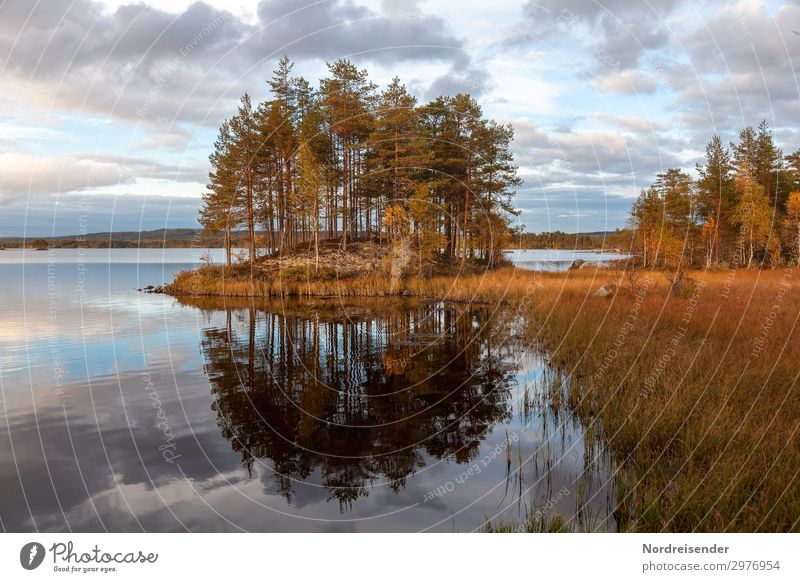 Lake Landscape in Sweden Vacation & Travel Tourism Adventure Freedom Camping Nature Elements Water Sky Clouds Sun Summer Autumn Beautiful weather Tree Forest