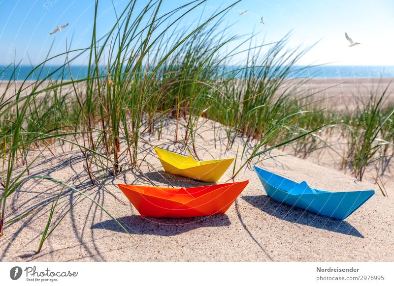 On the beach of the Baltic Sea Playing Handicraft Vacation & Travel Tourism Summer Summer vacation Beach Ocean Sand Water Cloudless sky Sun Beautiful weather