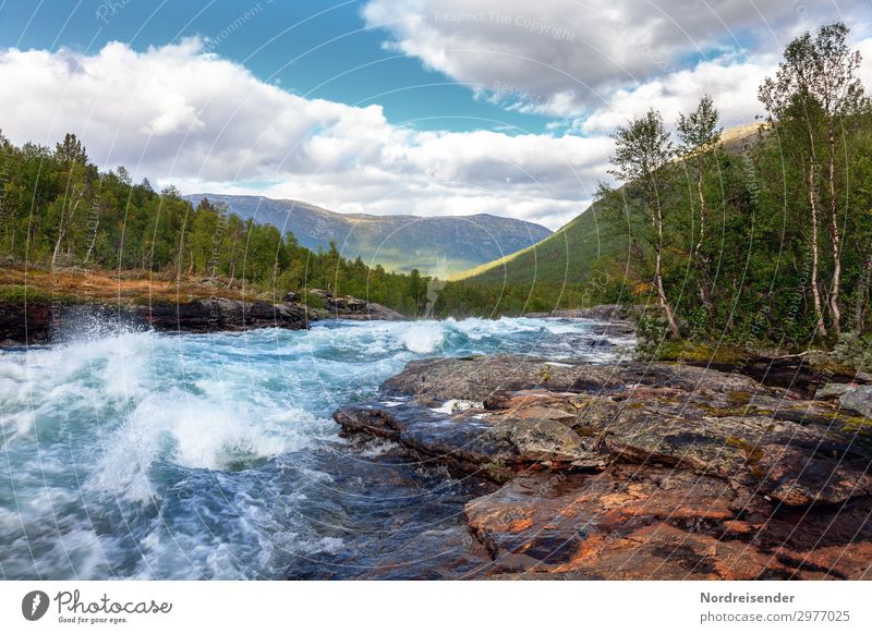 cold clear water Vacation & Travel Adventure Freedom Camping Summer Nature Landscape Elements Water Clouds Beautiful weather Tree Forest Rock Mountain Waves