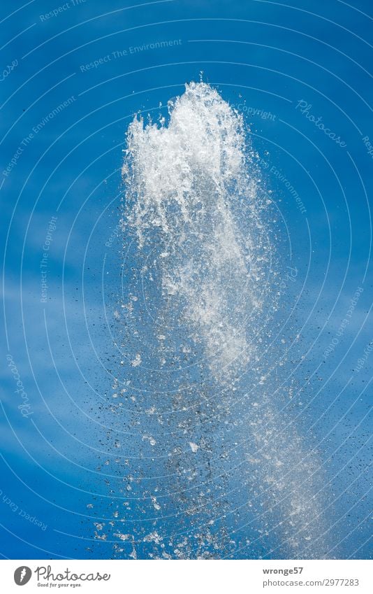 Large fountain Fountain Air Water Sky Summer Beautiful weather Park Near Wet Blue White Calm Ease Water fountain Bubbling Bubble column Effervescent