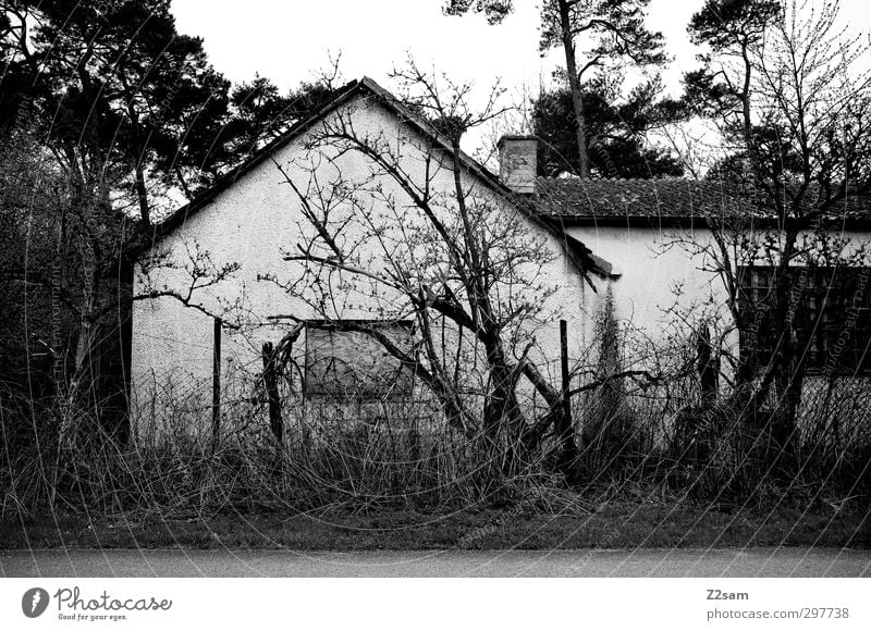 witch's house Landscape Tree Bushes Deserted House (Residential Structure) Hut Old Threat Dirty Dark Creepy Trashy Calm Apocalyptic sentiment Decline Transience