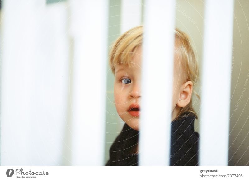 Close-up shot of blue-eyed baby girl with fair hair, view through the crib bars Face Children's room Human being Feminine Baby Toddler Infancy 1 0 - 12 months