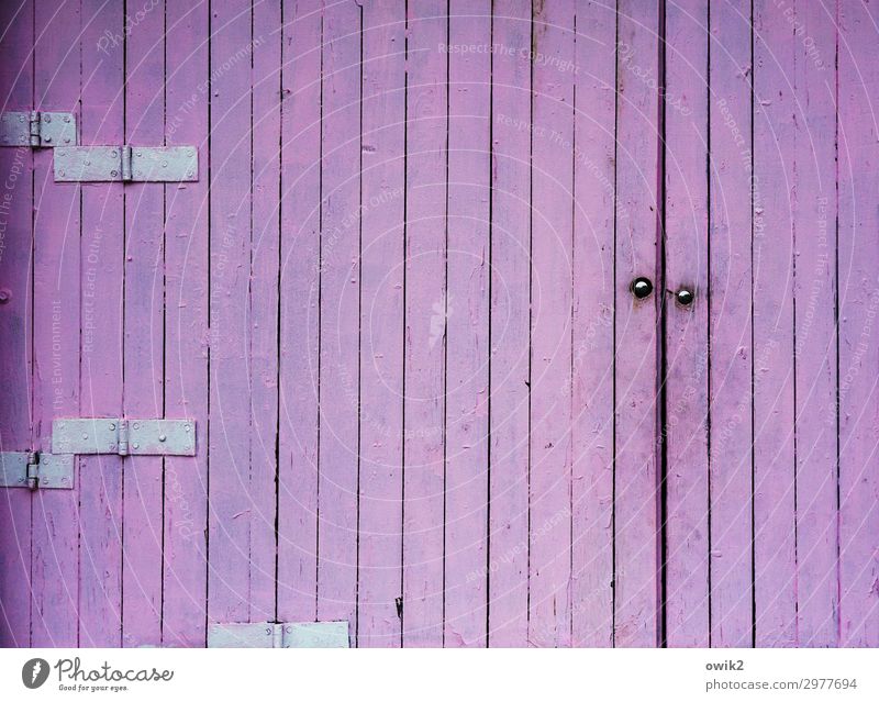 Blue was all Gate Dye Wood Metal Gloomy Violet Hinge Wooden board Wooden gate Unicoloured Repeating Bright Colours Colour photo Exterior shot Detail