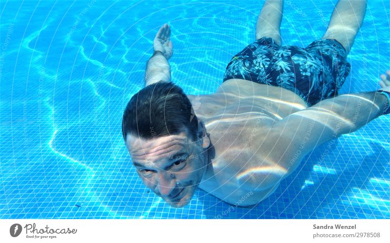 Diving in the pool Healthy Eating Athletic Fitness Relaxation Swimming & Bathing Leisure and hobbies Summer Summer vacation Swimming pool Masculine Man Adults