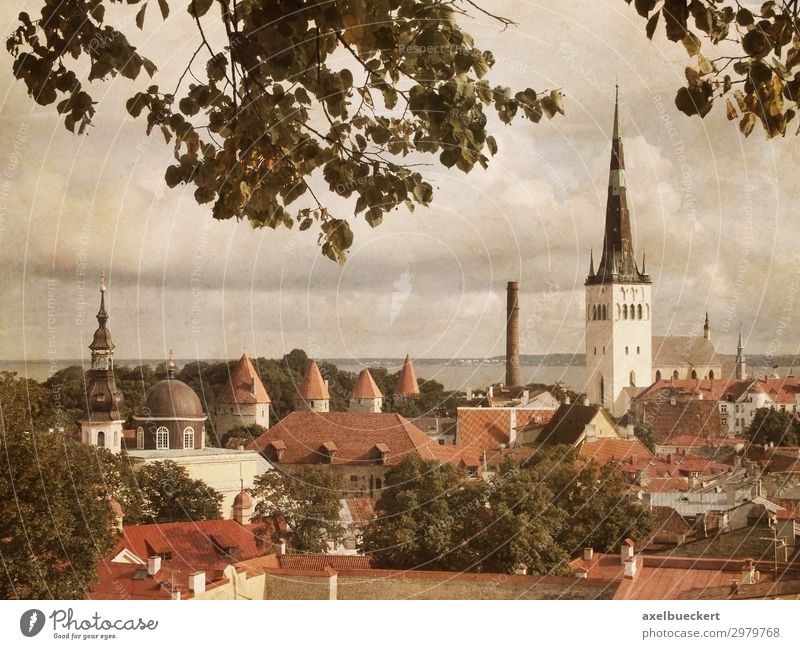 Tallinn Estonia in retro look Vacation & Travel Tourism Sightseeing City trip Town Capital city Downtown Old town Skyline House (Residential Structure) Church