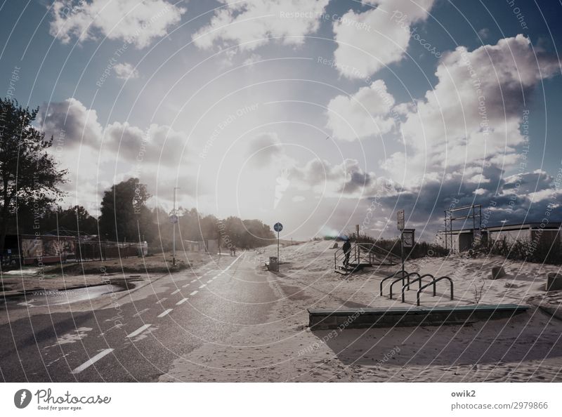 coastal strip Environment Nature Sky Clouds Beautiful weather Tree Bushes Beach Baltic Sea Street Illuminate Bright Horizon Idyll Far-off places Sand