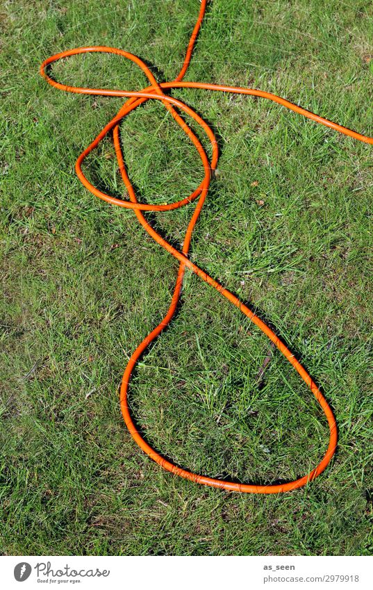 garden hose Garden Environment Nature Landscape Plant Earth Summer Climate Climate change Beautiful weather Drought Grass Lawn Garden hose Knot Lie Authentic