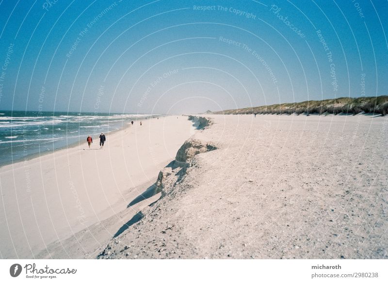 Walk on the beach Personal hygiene Healthy Wellness Life Well-being Relaxation Calm Cure Summer vacation Beach Ocean Island Sand Beautiful weather Waves