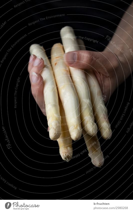 White asparagus Food Vegetable Nutrition Organic produce Vegetarian diet Healthy Healthy Eating Kitchen Man Adults Hand Fingers Work and employment Select Touch