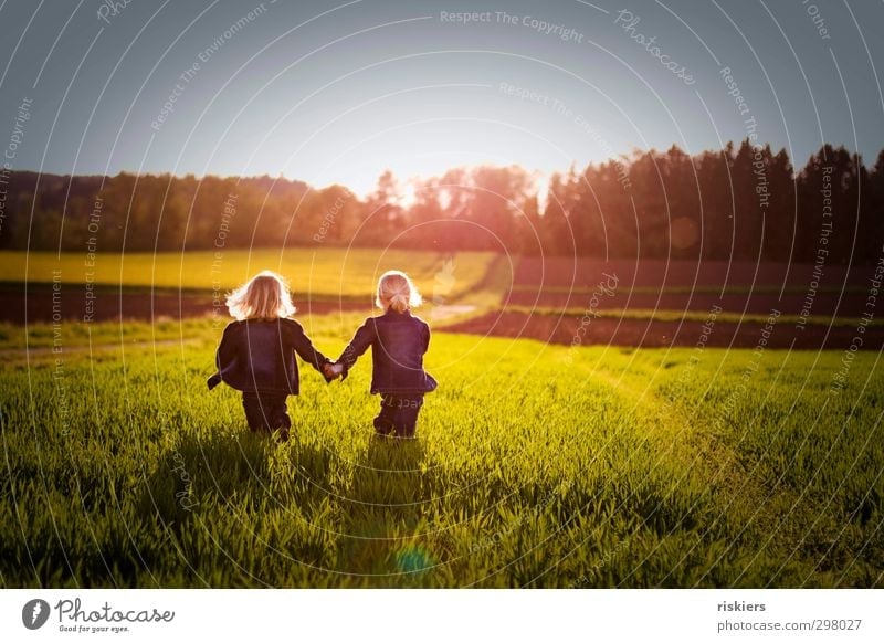 small soul mates Human being Feminine Child Girl Brothers and sisters Sister Infancy Life 2 3 - 8 years Nature Spring Summer Beautiful weather Meadow Field