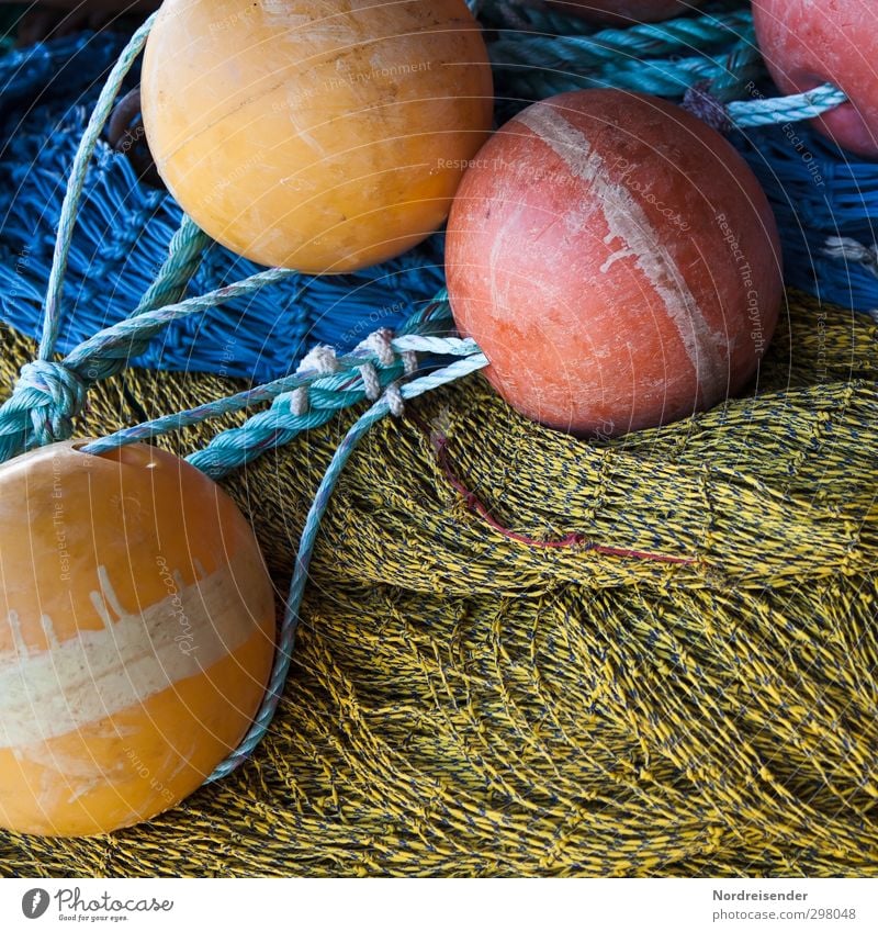 Colours and shapes Work and employment Profession Navigation Fishing boat Plastic Sphere Knot Net Catch Hunting Sustainability Multicoloured Integrity Identity