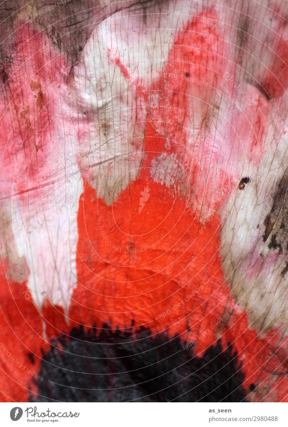 poppy seed painting Harmonious Art Nature Flower Blossom Blossom leave Poppy blossom Poppy leaf Blossoming Illuminate Faded Esthetic Authentic Wild Pink Red