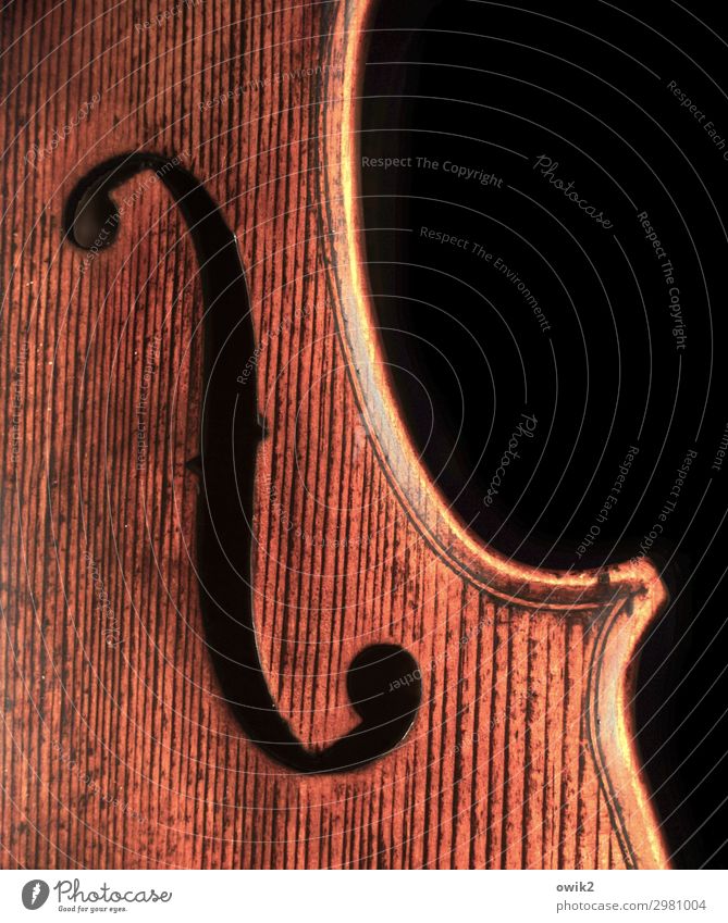 Vergeigt Art Music Violin soundproof Curved Wood grain Old Near Brown Orange Black Force Calm Clang Colour photo Interior shot Close-up Detail