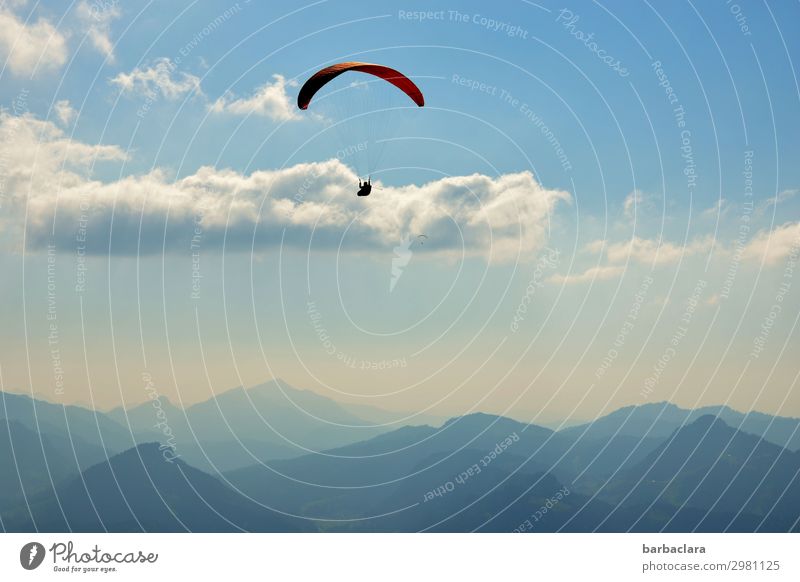 Airy above the clouds. Sports Paragliding 1 Human being Nature Elements Sky Clouds Climate Beautiful weather Alps Mountain Peak Flying Fantastic Infinity Tall