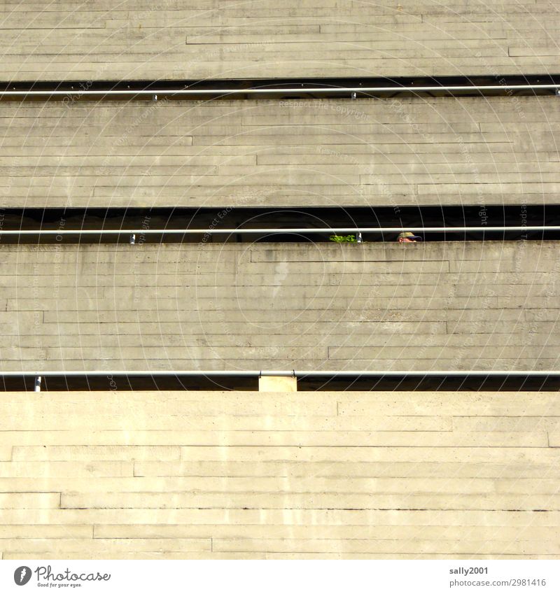 Balconies... balconies Balcony Concrete Concrete construction House (Residential Structure) Facade Gloomy Gray Plant High-rise Architecture Modern Poverty chill