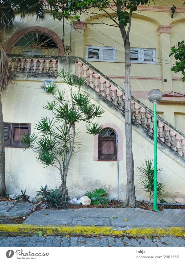 Trinidad Cuba Summer Exotic Palm tree Trinidade Town Deserted House (Residential Structure) Facade Window Stairs Handrail Banister Colonial style Street