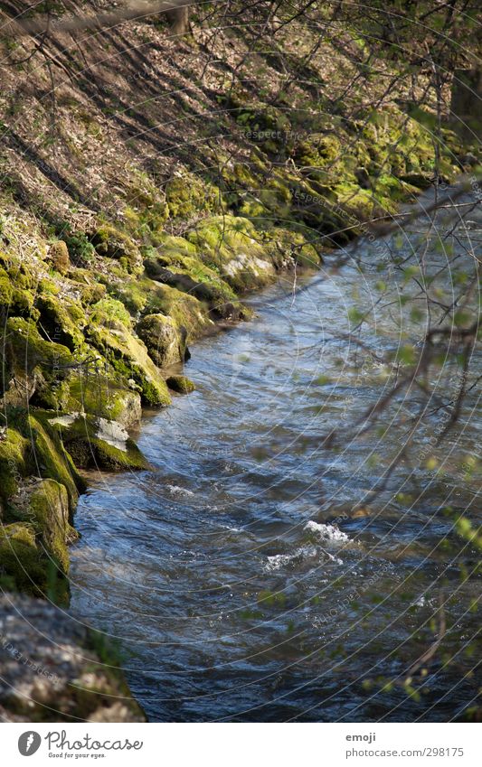 ripple Environment Nature Landscape Spring Beautiful weather River bank Brook Wet Natural Blue Green Colour photo Exterior shot Deserted Day