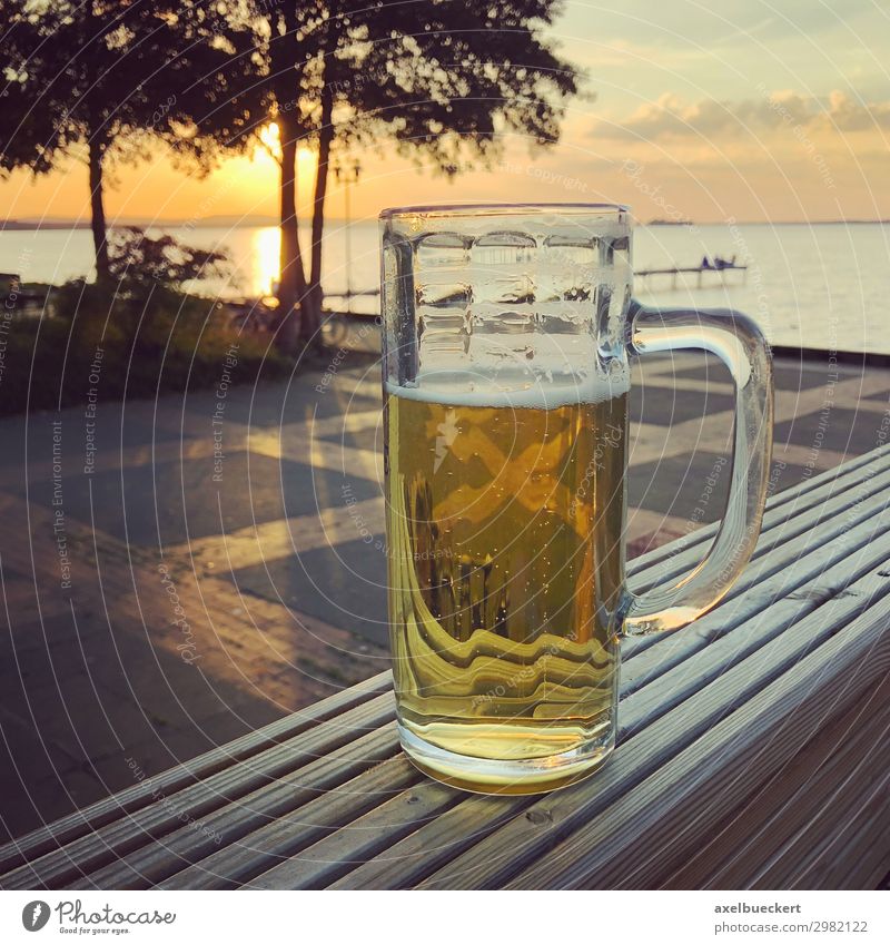 Glass of beer at sunset at Steinhuder Meer Beverage Drinking Beer Lifestyle Leisure and hobbies Vacation & Travel Freedom Summer Restaurant Bar Cocktail bar