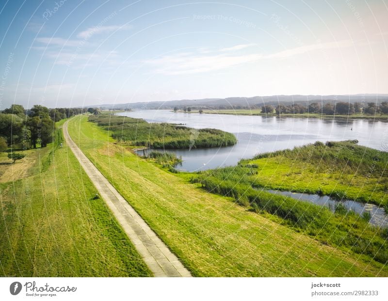 View of the river (Oder) Landscape Clouds Summer Beautiful weather Meadow River Dam Lanes & trails Authentic Far-off places Horizon Idyll Nature River bank