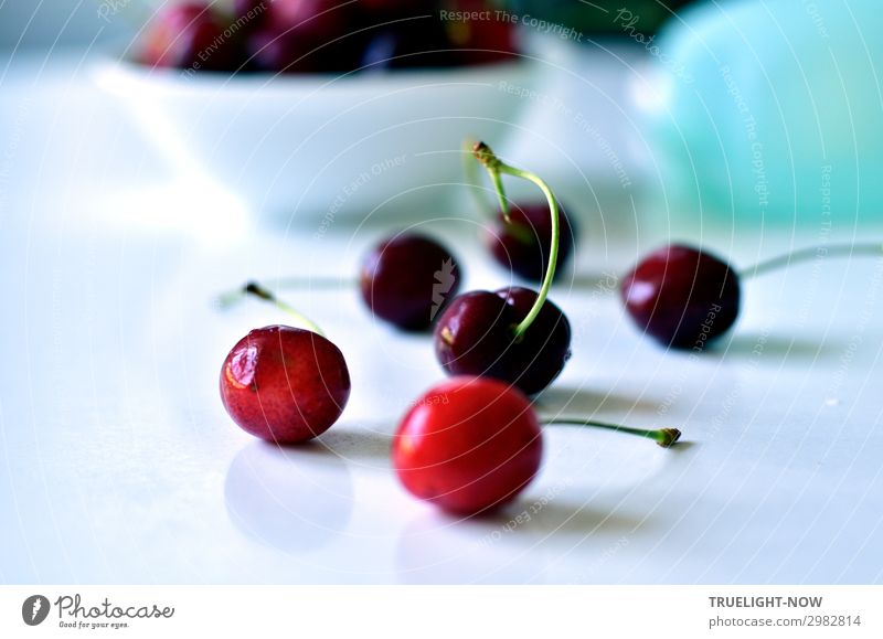 Cherries on a white table Food Fruit Cherry Nutrition Organic produce Vegetarian diet Summer To enjoy Fresh Healthy Delicious Natural Juicy Sweet Red Turquoise
