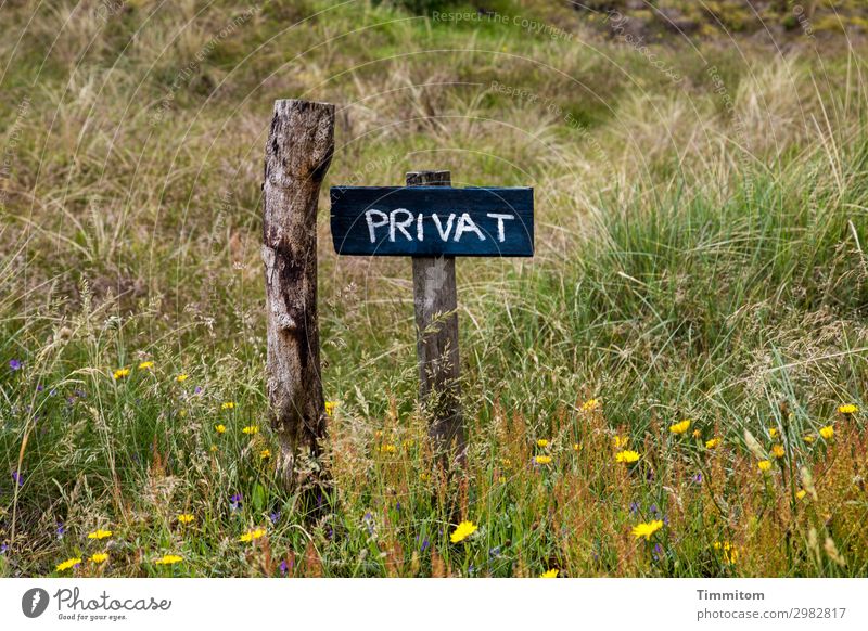 PRIVATE (QF) Vacation & Travel Environment Nature Plant Flower Grass Meadow Denmark Lanes & trails Pole Wood Signs and labeling Signage Warning sign Simple
