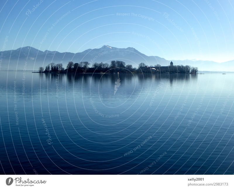 Winter day at Chiemsee... Landscape Cloudless sky Beautiful weather Tree Alps Mountain Lake Lake Chiemsee Bavaria Chiemgau Church Monastery Fantastic