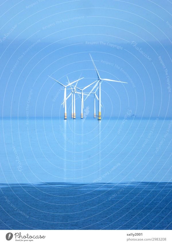 Electricity from outside... Energy industry Renewable energy Wind energy plant Cloudless sky Beautiful weather Ocean Rotate Stand Far-off places Maritime