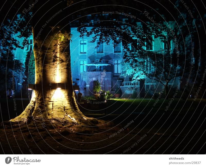 illumina Light Tree Night Mystic Leisure and hobbies actual installation Lighting Castle