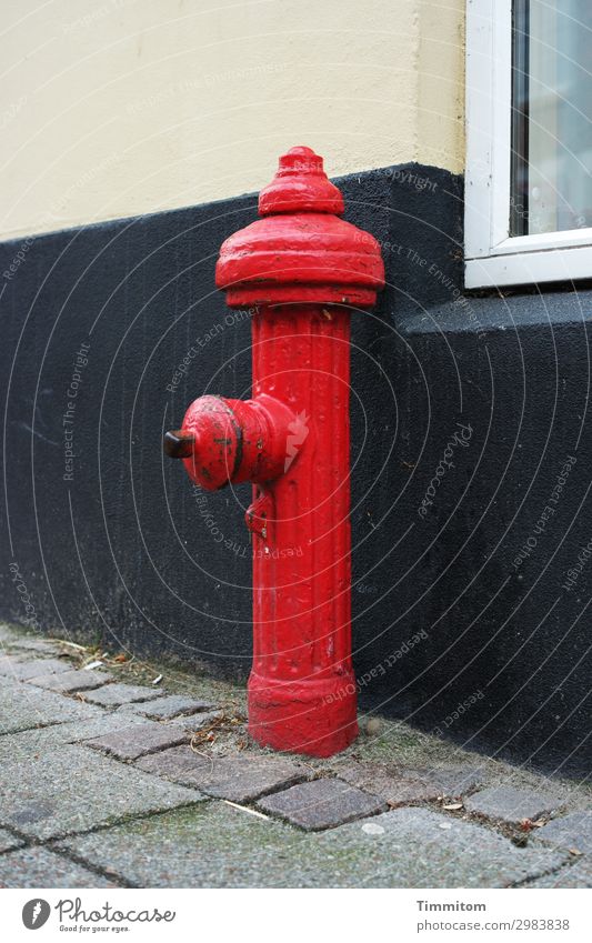 A little man stands... Vacation & Travel Denmark Small Town Wall (barrier) Wall (building) Window Street Fire hydrant Metal Wait Esthetic Gray Red Black