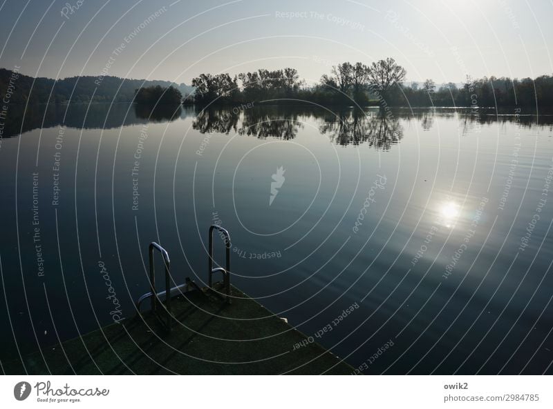 Near Kelheim Environment Nature Landscape Water Cloudless sky Horizon Autumn Beautiful weather Tree River bank Danube Bavaria Illuminate Idyll Far-off places