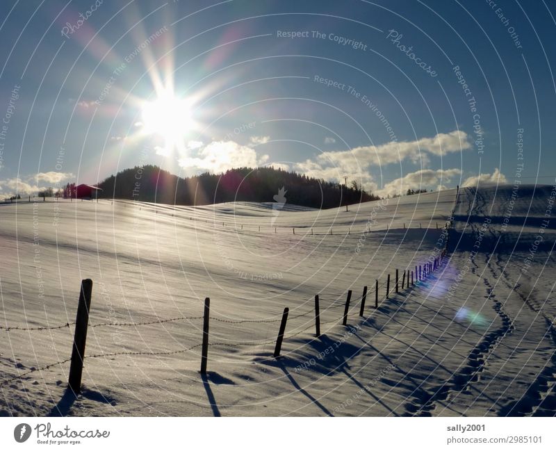 crystalline Environment Landscape Sunlight Winter Beautiful weather Hill Alps Contentment Loneliness Horizon Idyll Lanes & trails Snow Fence Fence post