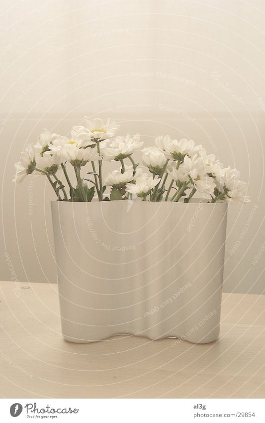 aalto white Flower Vase White Living or residing soft light