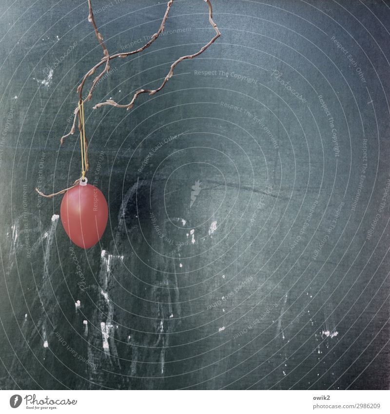 Economical Easter Easter egg String Twig Decoration Blackboard Scribbles Plastic Hang Round Red Loneliness Forget Public Holiday Colour photo Exterior shot