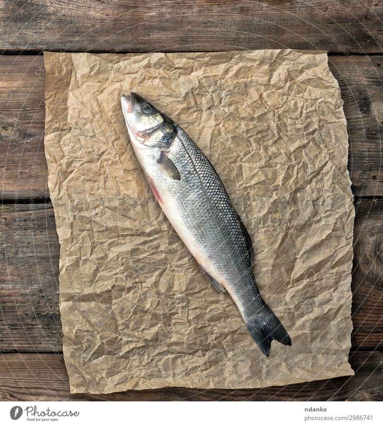 fresh whole sea bass fish on brown crumpled paper Seafood Nutrition Ocean Table Kitchen Nature Animal Paper Wood Fresh Above Brown Gray Culinary Gourmet Cooking